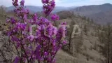 80-е. Весело и дружно - фото 27 (миниатюра)