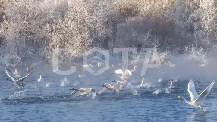 Зима на Алтае - фото 1