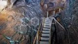 Алтайский микс: путешествие по Чуйскому тракту и круиз по Телецкому озеру - фото 25 (миниатюра)