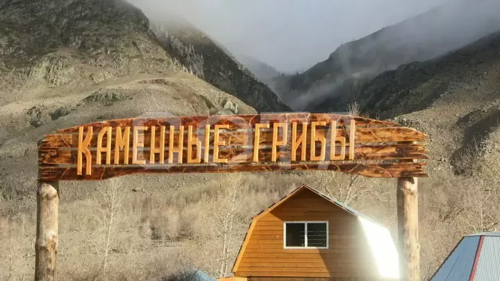 Круиз в Долину Чулышмана - фото 14