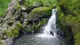 Круиз в Долину Чулышмана - фото 12 (миниатюра)