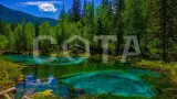 Кругосветка по Алтаю 2023 - фото 23 (миниатюра)