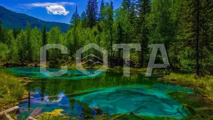 Кругосветка по Алтаю 2023 - фото 23