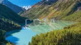 Увидеть Алтай за 8 дней с комфортом! Всё включено! - фото 1 (миниатюра)