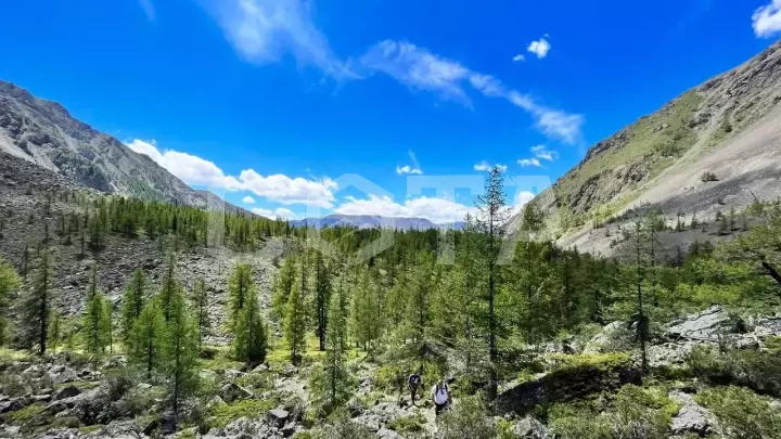Три дня на Алтае: до Марса и обратно - фото 15