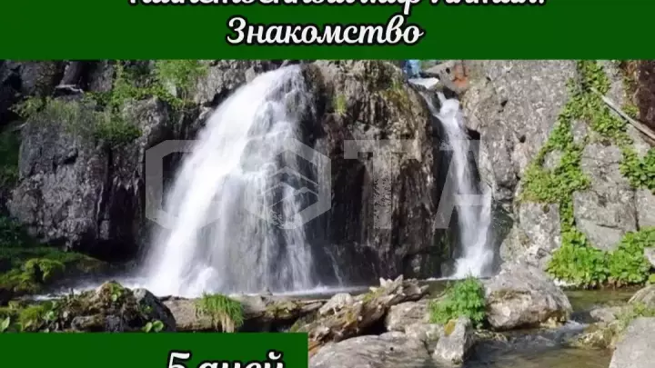 Загадочный мир Алтая. Знакомство. - фото 7
