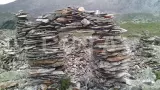 Загадочный мир Алтая. Знакомство. - фото 3 (миниатюра)