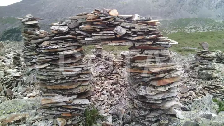 Загадочный мир Алтая. Знакомство. - фото 3