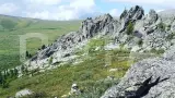 Загадочный мир Алтая. Знакомство. - фото 5 (миниатюра)