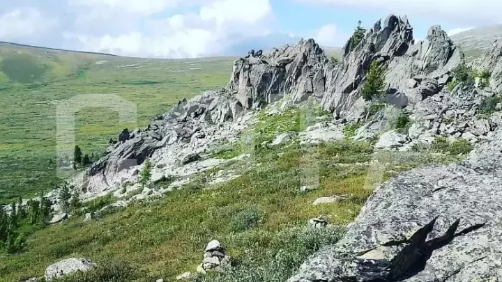 Загадочный мир Алтая. Знакомство. - фото 5