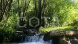 Загадочный мир Алтая. Знакомство. - фото 8 (миниатюра)