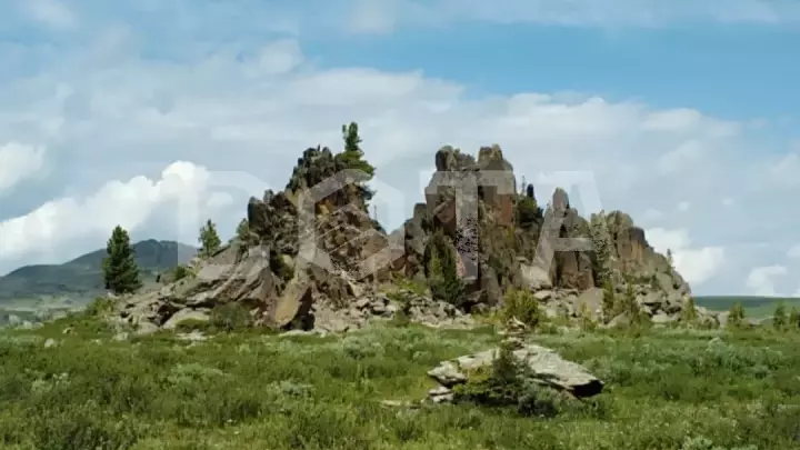 Загадочный мир Алтая. Знакомство. - фото 2