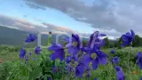 Загадочный мир Алтая. Знакомство. - фото 6 (миниатюра)
