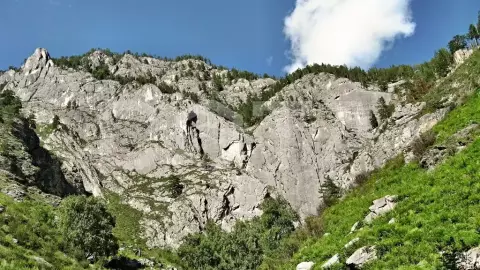 Индивидуальный тур по центральному и восточному Алтаю - фото 3