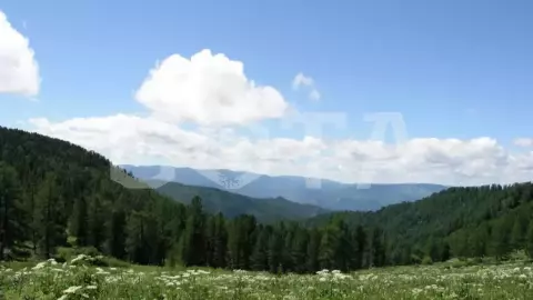 Алтай – место силы (Зима), 6 дней - фото 5