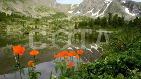 Алтай - место силы, 8 дней - фото 1