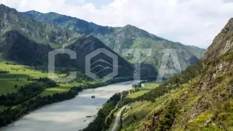 Алтай - место силы, 11 дней - фото 1