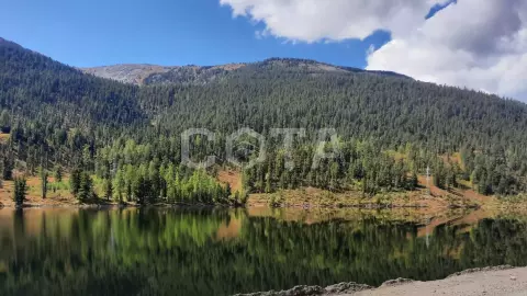 Кругосветка по Алтаю 5 дней - фото 1
