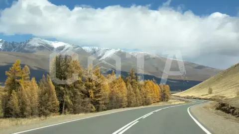 На Семинский перевал за энергией кедра и алтайскими сувенирами - фото 1