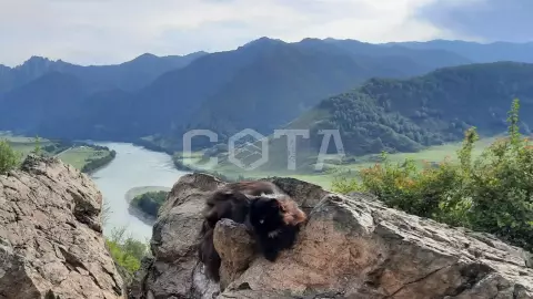 Долина горных Духов - фото 1