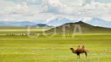 Долина Озёр (Монголия) - фото 3 (миниатюра)