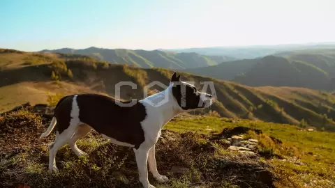 Красоты Белокурихи - фото 2