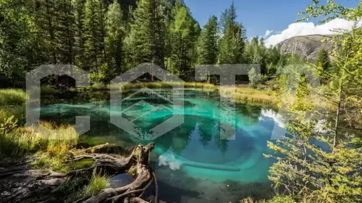 Чуйский тракт от Чемала до Курая - фото 8