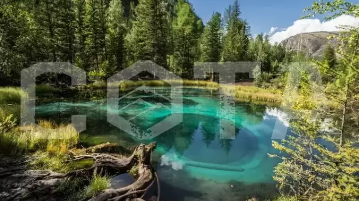 Чуйский тракт от Чемала до Курая - фото 11