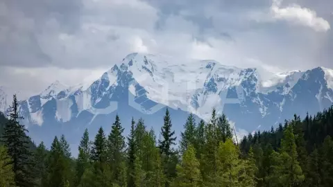 Приключения на Алтае 2025 (комби) - фото 1