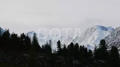 К подножью Белухи - фото 4