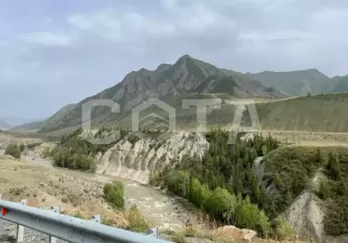Когда цветет маральник - фото 4