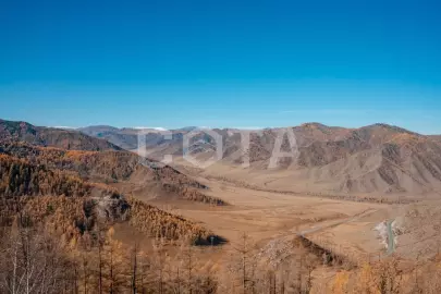 Осенний Алтай 2025 - фото 2