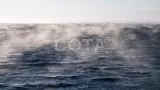 Новогодний тур по Байкалу. Первый лёд, Ольхон и Листвянка - фото 12 (миниатюра)