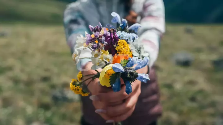 Алтай. К подножию Белухи - фото 14