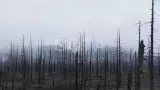 Вся Камчатка за 14 дней. Активный тур без рюкзаков - фото 2 (миниатюра)