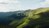 Алтай. К подножию Белухи - фото 13 (миниатюра)
