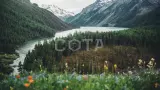 Алтай. К подножию Белухи - фото 12 (миниатюра)