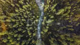 Алтай. Шавлинские озера - фото 12 (миниатюра)