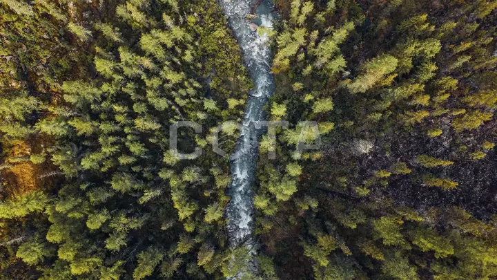 Алтай. Шавлинские озера - фото 12