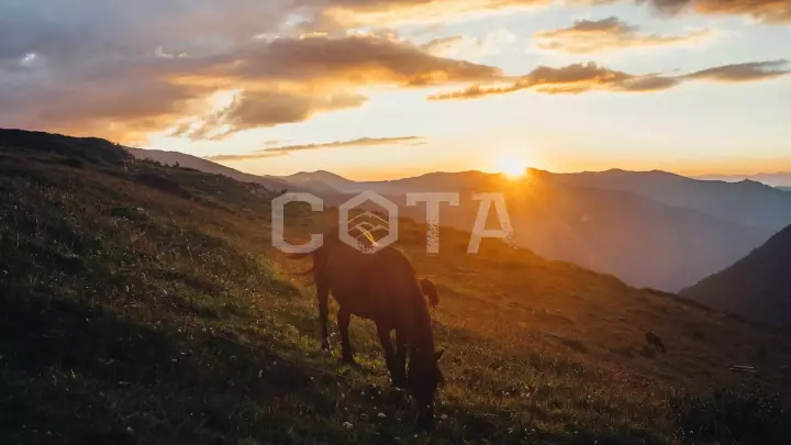 Алтай. К подножию Белухи - фото 1