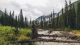 Алтай. Шавлинские озера - фото 16 (миниатюра)