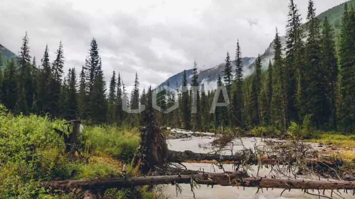 Алтай. Шавлинские озера - фото 16