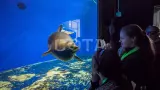 Новогодний тур по Байкалу. Первый лёд, Ольхон и Листвянка - фото 34 (миниатюра)