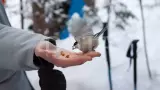 Новогодние приключения на Урале без рюкзаков. Зюраткуль - фото 5 (миниатюра)