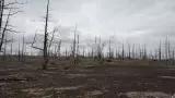 Камчатка: Толбачинское кольцо. Поход к спящему вулкану - фото 2 (миниатюра)