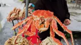 Сахалин + Камчатка. Активный тур без палаток и рюкзаков - фото 7 (миниатюра)