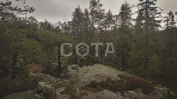 Воттоваара. Поход налегке на самую загадочную гору Карелии - фото 15