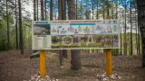 Самые близкие горы. Скалолазание на открытом воздухе с трансфером из Москвы - фото 5 (миниатюра)