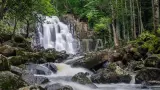 Приморский край. Активный тур без рюкзаков и палаток - фото 21 (миниатюра)