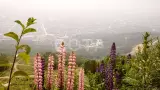 Поход на Кунашир с восхождением на Тятю. Курильские острова - фото 3 (миниатюра)